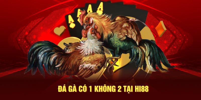 Hi88 | Điểm Đến Uy Tín | Cá Cược Chuyên Nghiệp Năm 2025 10 Đá gà có 1 không 2 tại Hi88